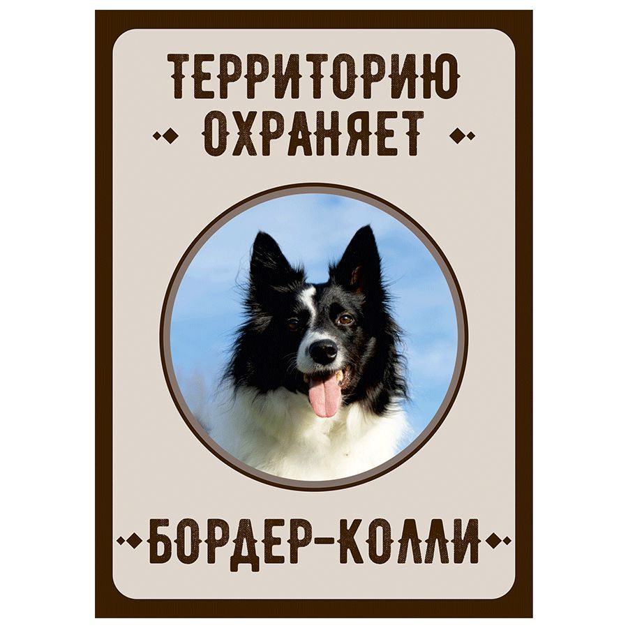 Табличка, Злая собака, Территорию охраняет Бордер-колли, на металлической основе, 18см х 25 см, на забор, #1