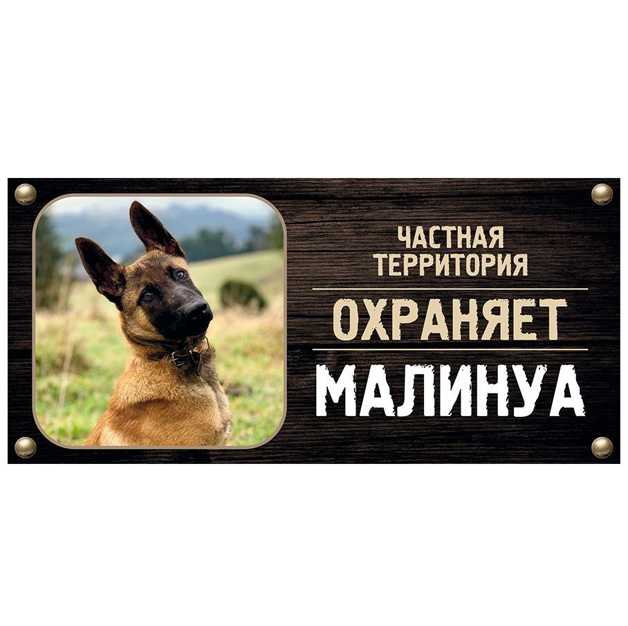 Табличка, Злая собака, Территорию охраняет Малинуа, на металлической основе, 30см х 14 см, на забор, #1