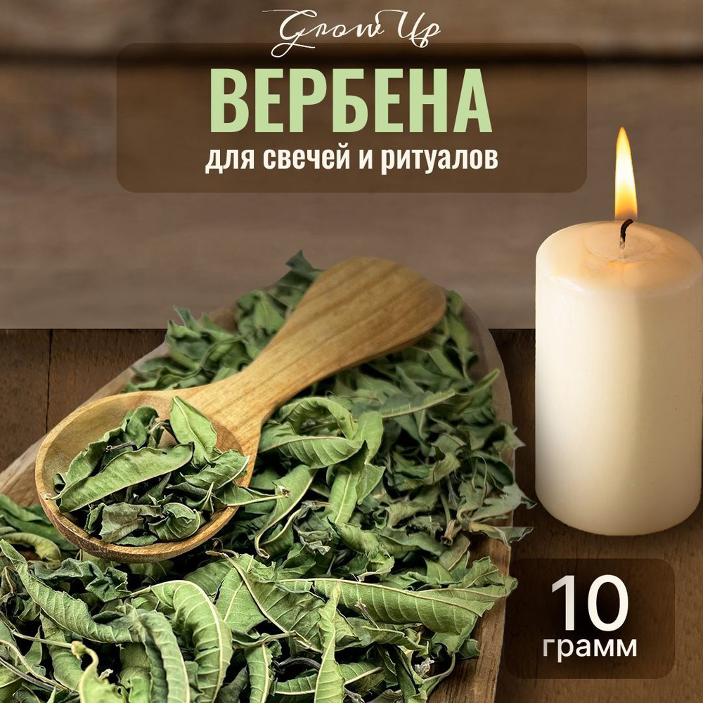 Вербена лимонная сушеная трава 10 гр - сухоцветы для свечей, творчества и ритуалов  #1
