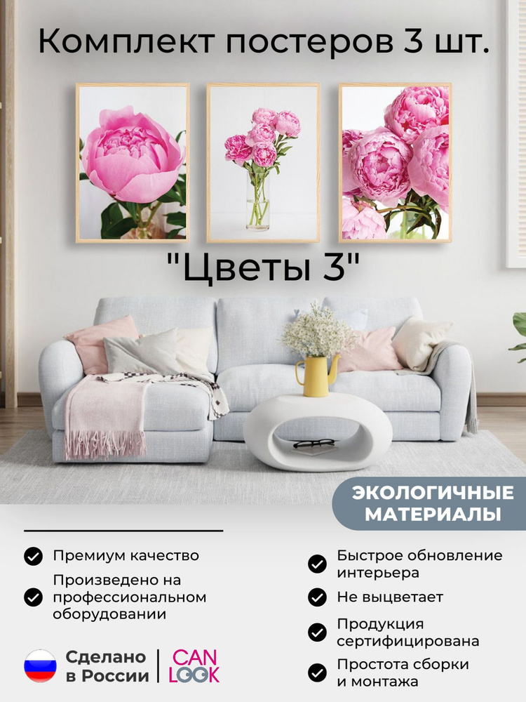 Постеры на стену "Цветы Пионы", постеры интерьерные 50х70 см, 3 шт.  #1