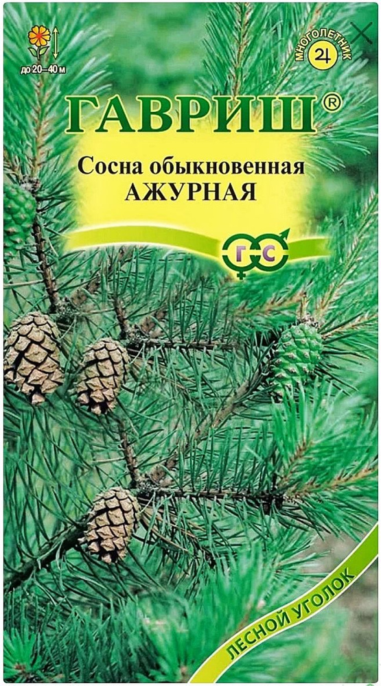 Сосна обыкновенная Ажурная, 1 пакет, семена 0,2 гр, Гавриш  #1