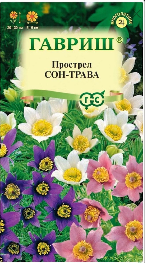 Прострел Сон-трава (смесь), 1 пакет, семена 0,05 гр, Гавриш #1