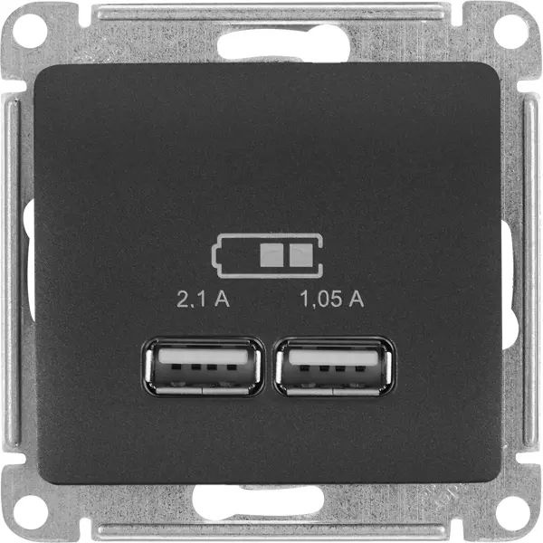 Розетка USB встраиваемая Schneider Electric Glossa цвет графитовый #1