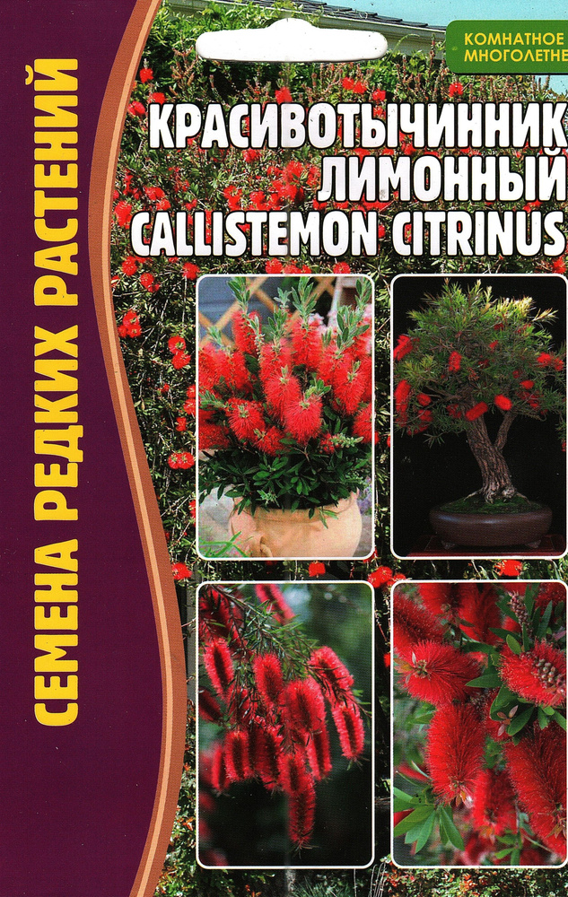 Красивотычинник Лимонный / CALLISTEMON CITRINUS, лекарственный многолетник ( 1 уп: 0,1 г )  #1