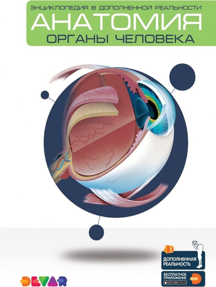 Анатомия. Органы человека. Энциклопедия в дополненной реальности  #1