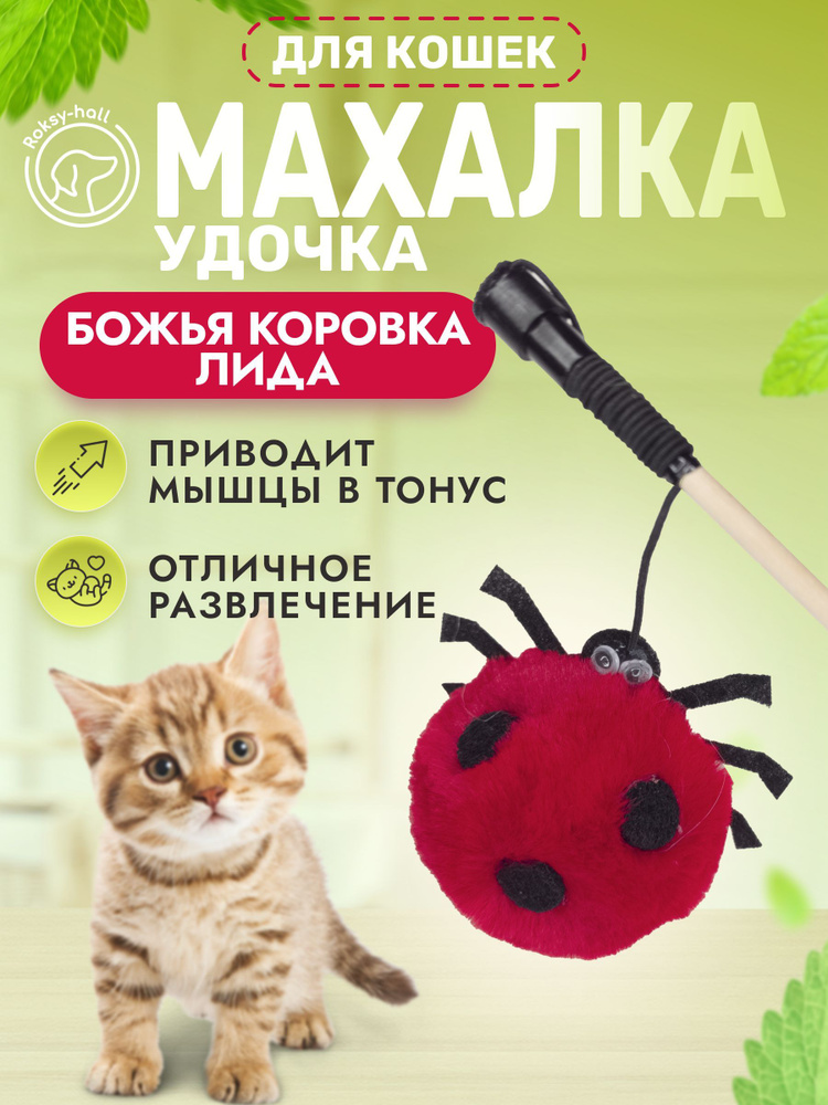 Игрушка для кошек, Махалка-Удочка Roksy-hall, Божья коровка Лида, цвет красный  #1