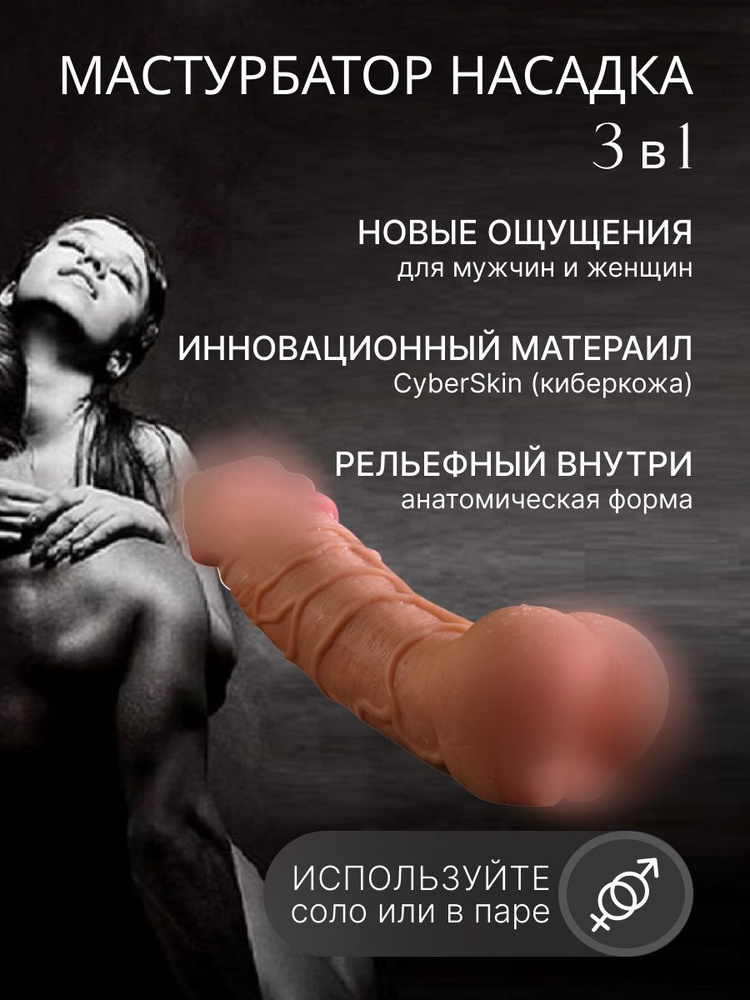 Половой член — Википедия