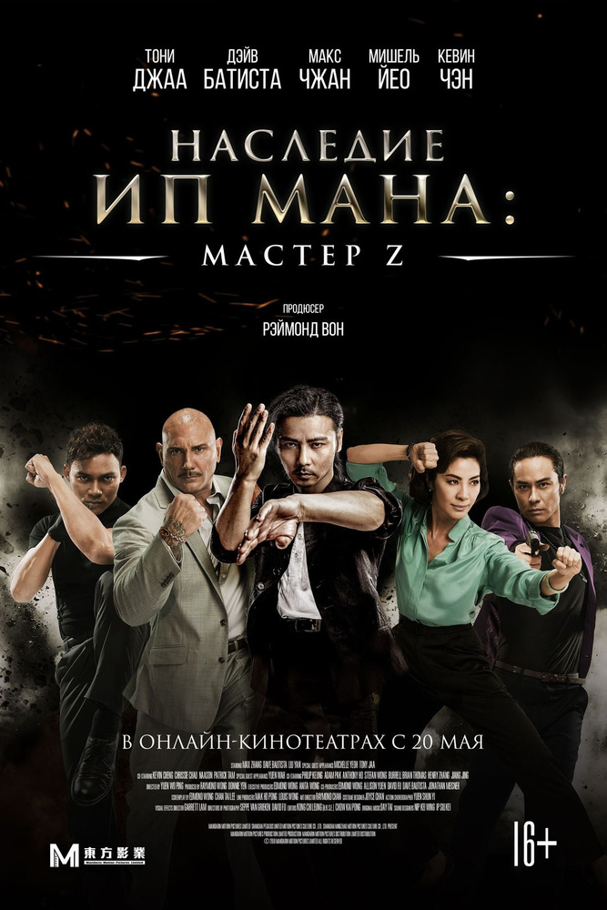 Наследие Ип Мана: Мастер Z (2018) (DVD-R) #1