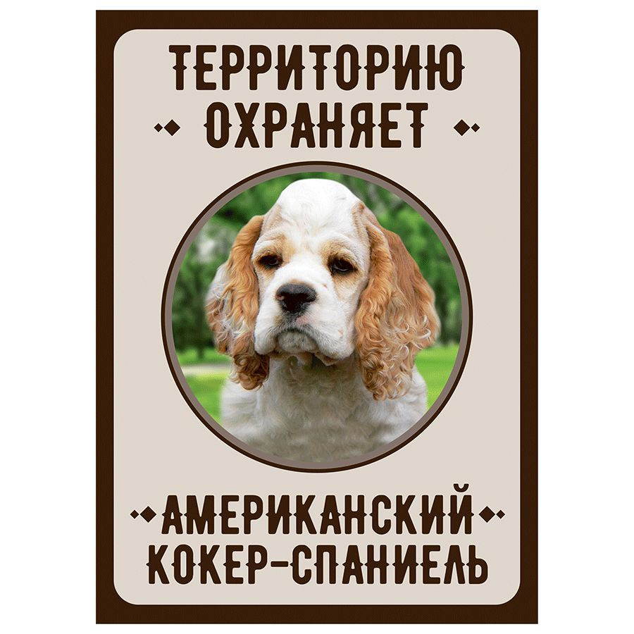 Табличка, Злая собака, Территорию охраняет Американский кокер-спаниель, на металлической основе, 18см #1