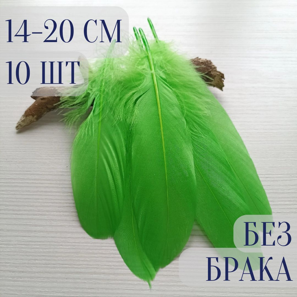 Гусиные перья для творчества и рукоделия. Салатовые. 10 шт. 14-20 см ...