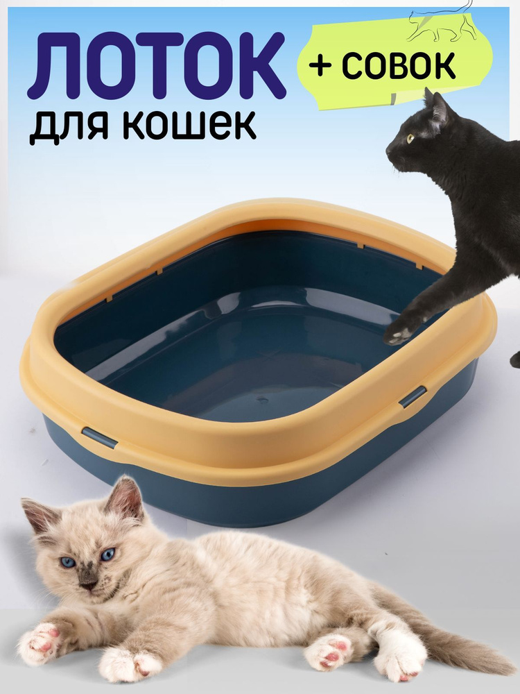 Лоток для кошачьего туалета #1