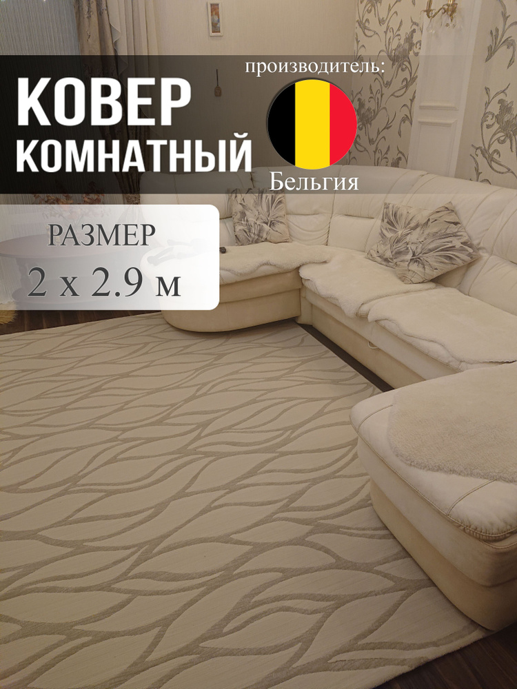 Ragolle Ковер В современном стиле в спальню, прихожую, кабинет, комнату, 2 x 2.9 м  #1