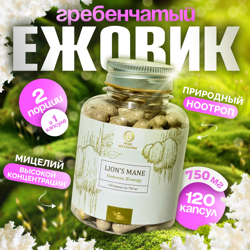 WISE MYCELIUM Грибы сушеные 90г. 1шт. #1