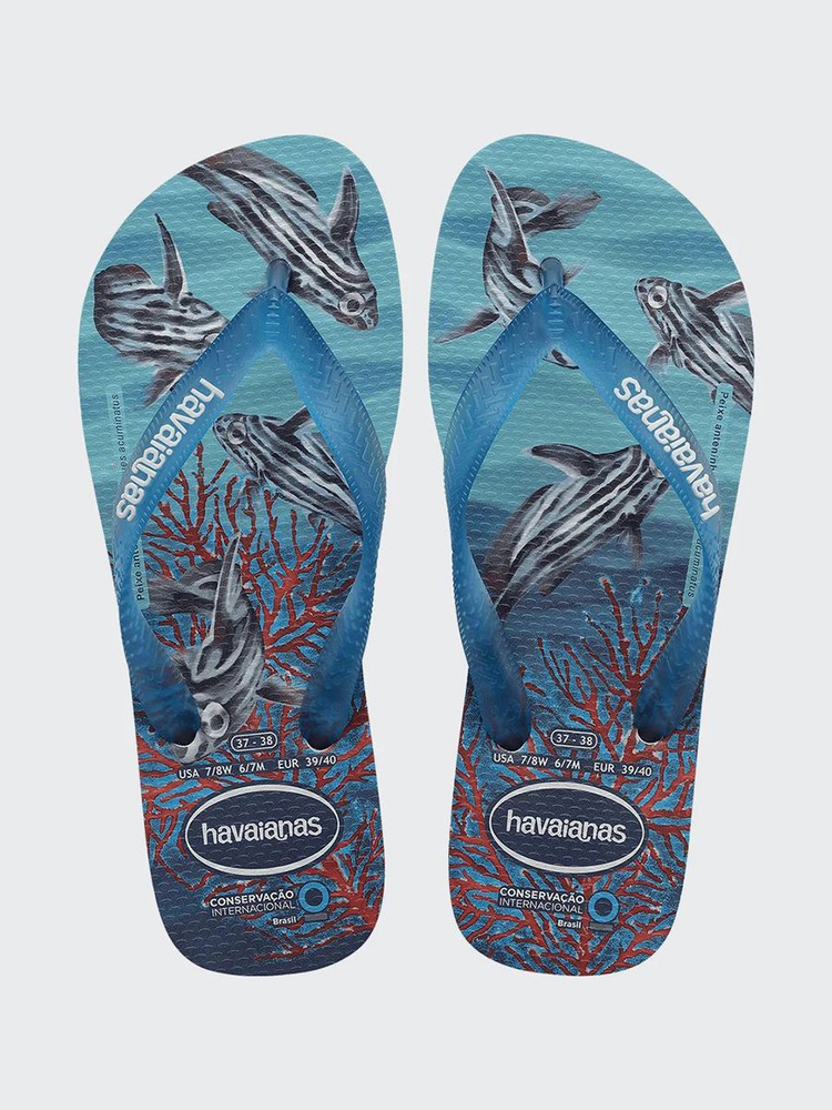 Сланцы Havaianas #1