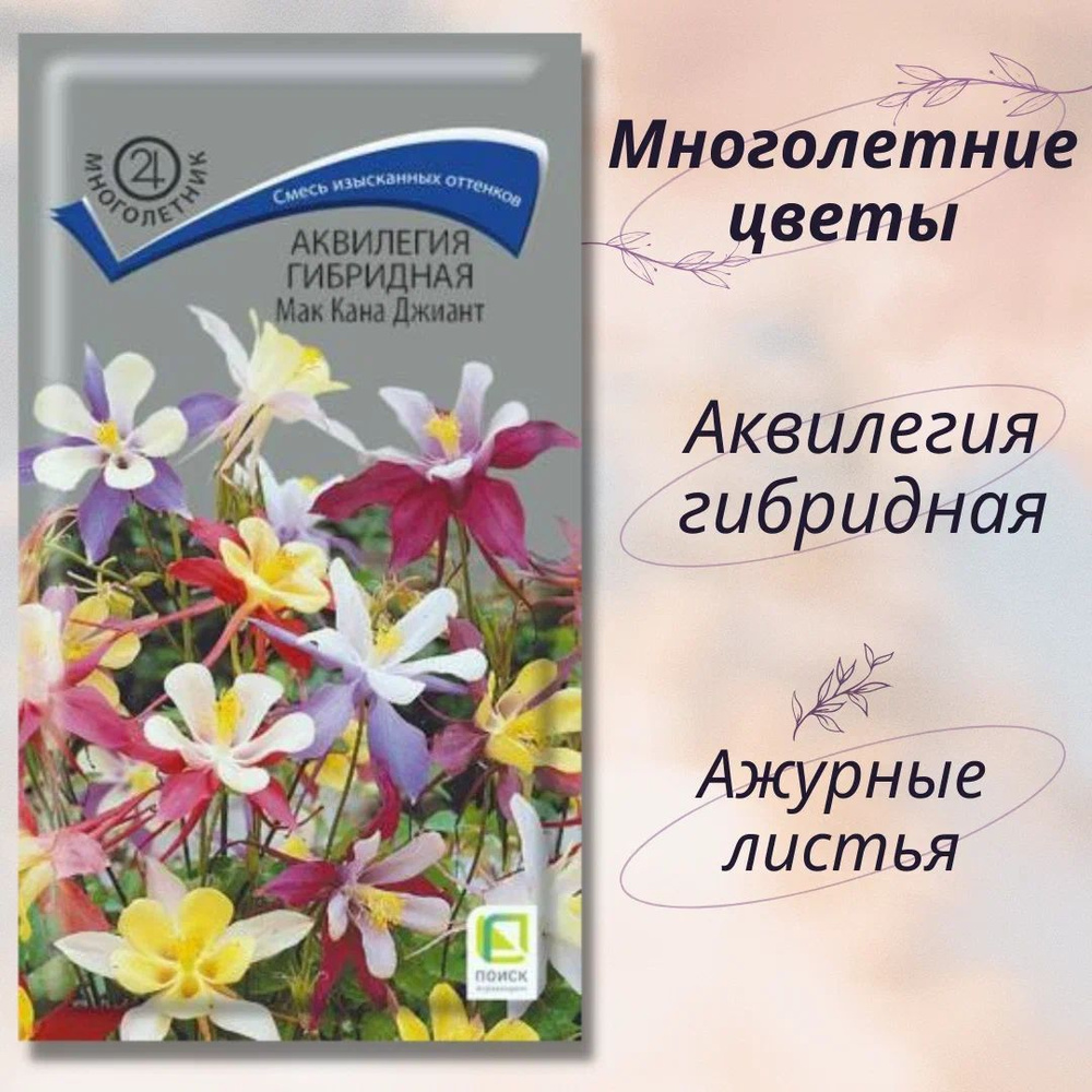 Аквилегия гибридная "Мак Кана Джиант" семена многолетних цветов для посадки  #1