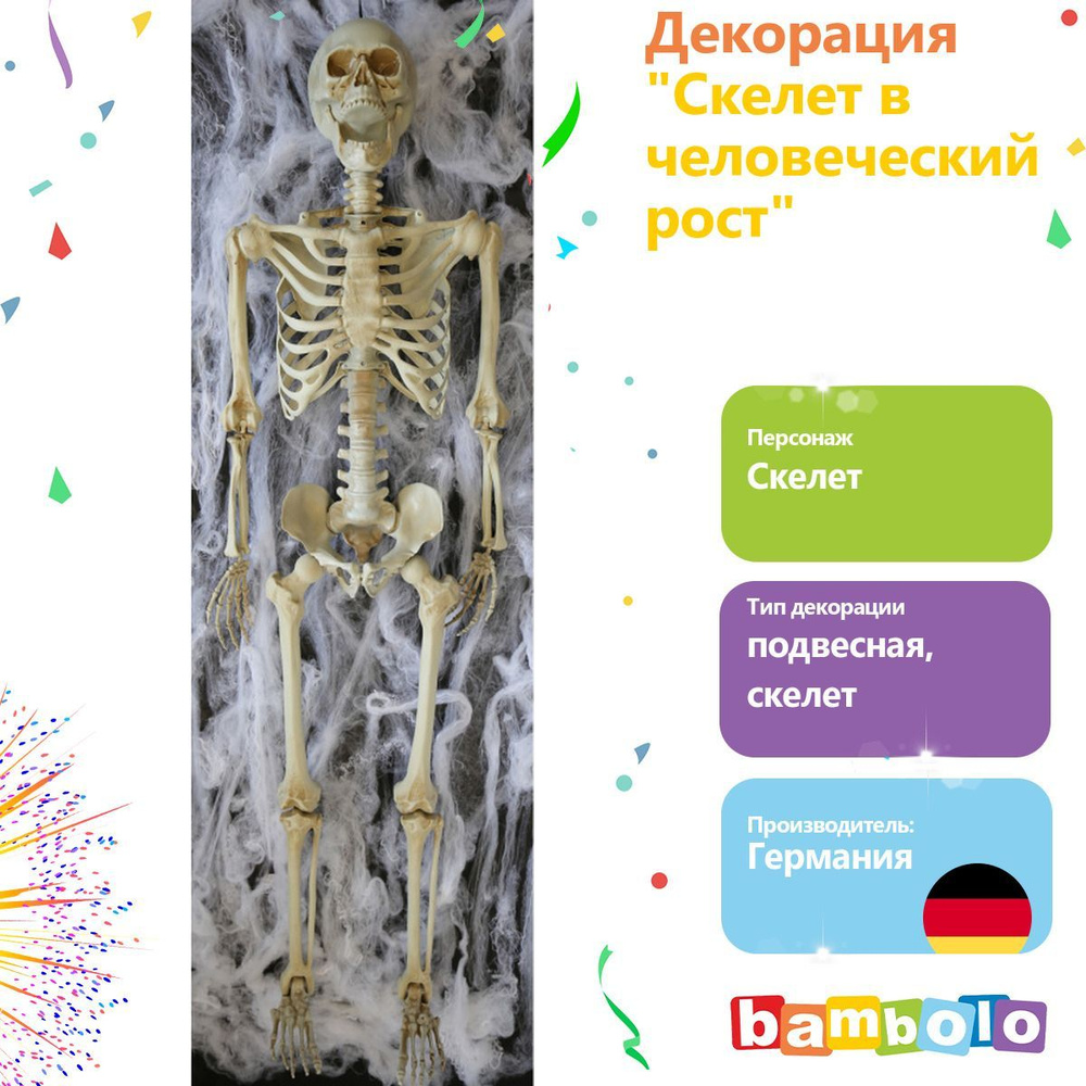 Декорация на хэллоуин: Декорация "Скелет в человеческий рост" (13797)  #1