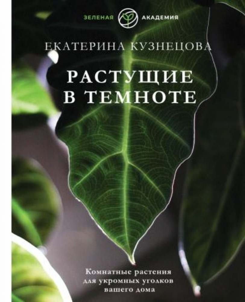 Растущие в темноте. Комнатные растения для укромных уголков вашего дома  #1