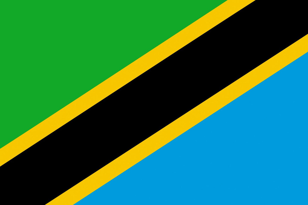 Флаг Танзании 40х60 см #1