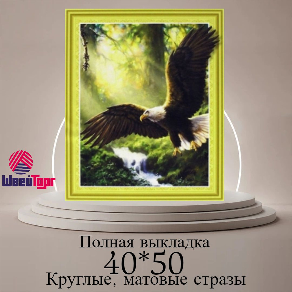 Алмазная мозаика 40*50 см в технике 5D 0020 #1