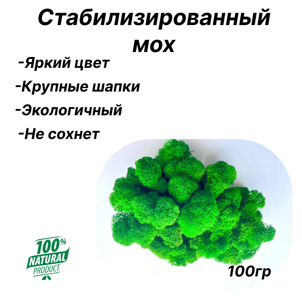 FreshMoss Стабилизированный мох Мох, 100 гр #1