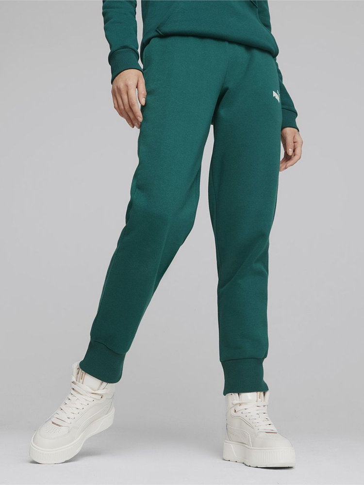 Брюки спортивные PUMA ESS Sweatpants FL cl (s) #1