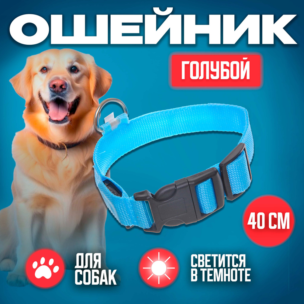 Ultramarine Ошейник для собаки 2,5 х 40 см ошейник светящийся светодиодный для собак и кошек  #1