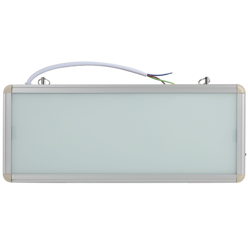 Светильник аварийный светодиодный SSA-101-0-20 IP20 цвет серый  #1