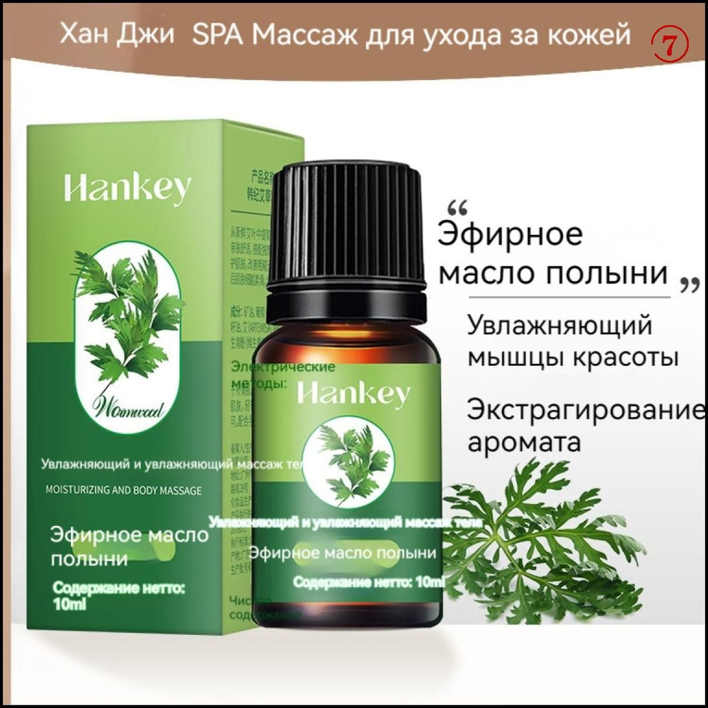 10*10 мл Полынь Эссенция для массажа тела, натуральное эфирное масло с ...