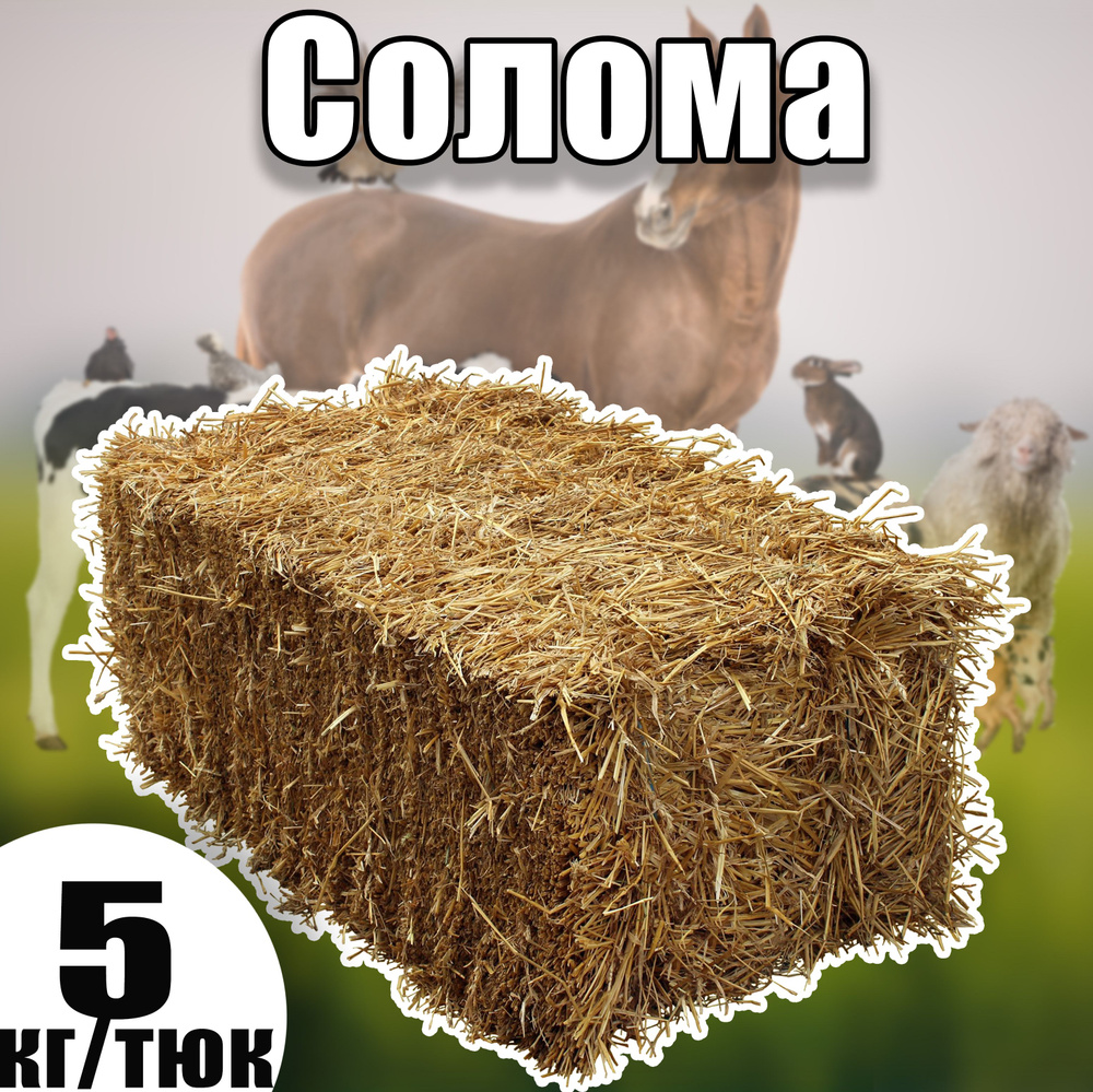 Солома для с/х животных 5 кг. Подстилка для собак лошадей кроликов кур ...