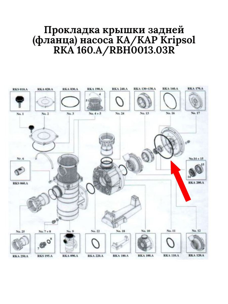 Прокладка крышки задней (фланца) насоса KA/KAP Kripsol RKA 160.A/RBH0013.03R  #1