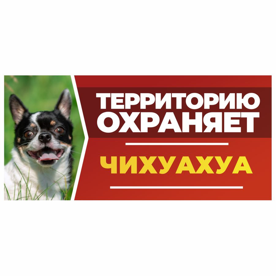 Табличка, DANGER DOG, Чихуахуа на забор, 30см х 14см #1