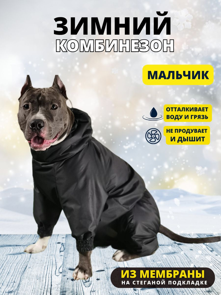 Комбинезон зимний для собак средних пород SNOW plus, 45+м (кобель), черный, 2XL+  #1