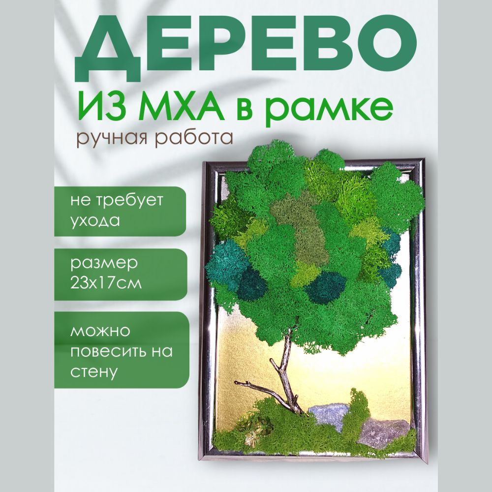 Стабилизированный мох Мох, 25 см, 315 гр, 1 шт купить по выгодной цене ...