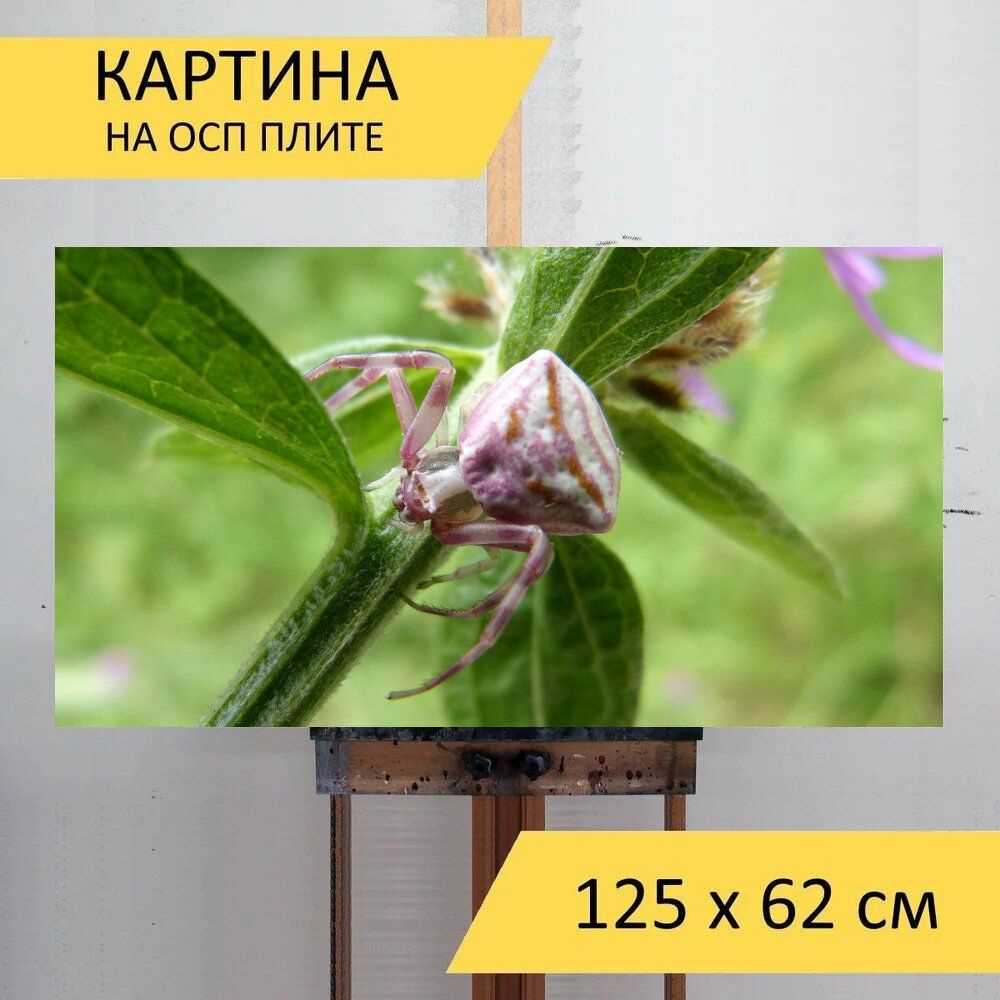 LotsPrints Картина "Паук, паук краб, листья 57", 125  х 62 см #1