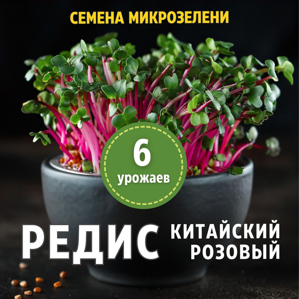 Редис "Чайна Роуз", 30гр. Семена микрозелени #1