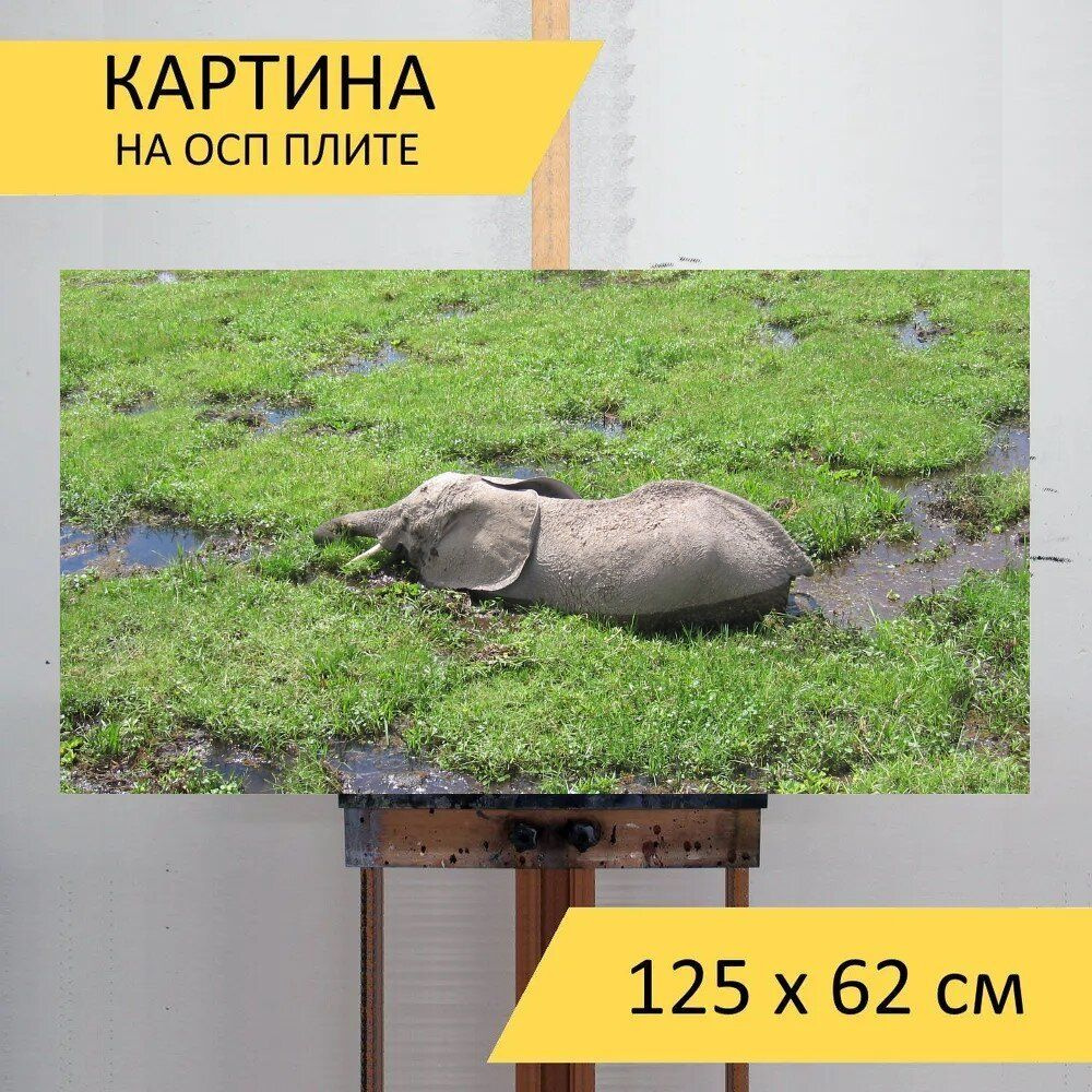 LotsPrints Картина "Слон, кения, ванна 82", 125  х 62 см #1