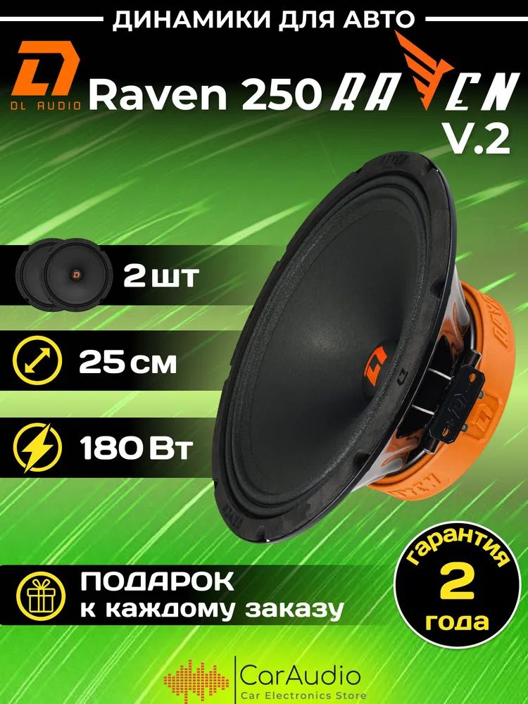 Колонки для автомобиля DL Audio Raven 250 / эстрадная акустика 25 см. (10 дюймов) / комплект 2 шт.  #1