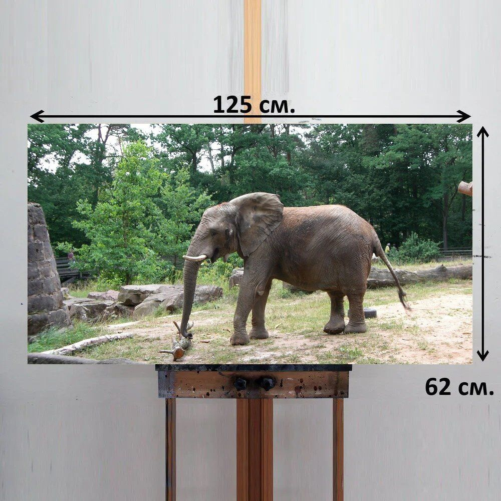 LotsPrints Картина "Слон, животное, сафари 06", 125  х 62 см #1