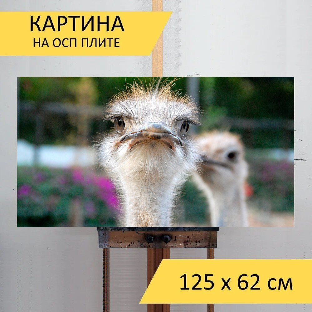 LotsPrints Картина "Южная африка, страус, глаза 19", 125  х 62 см #1