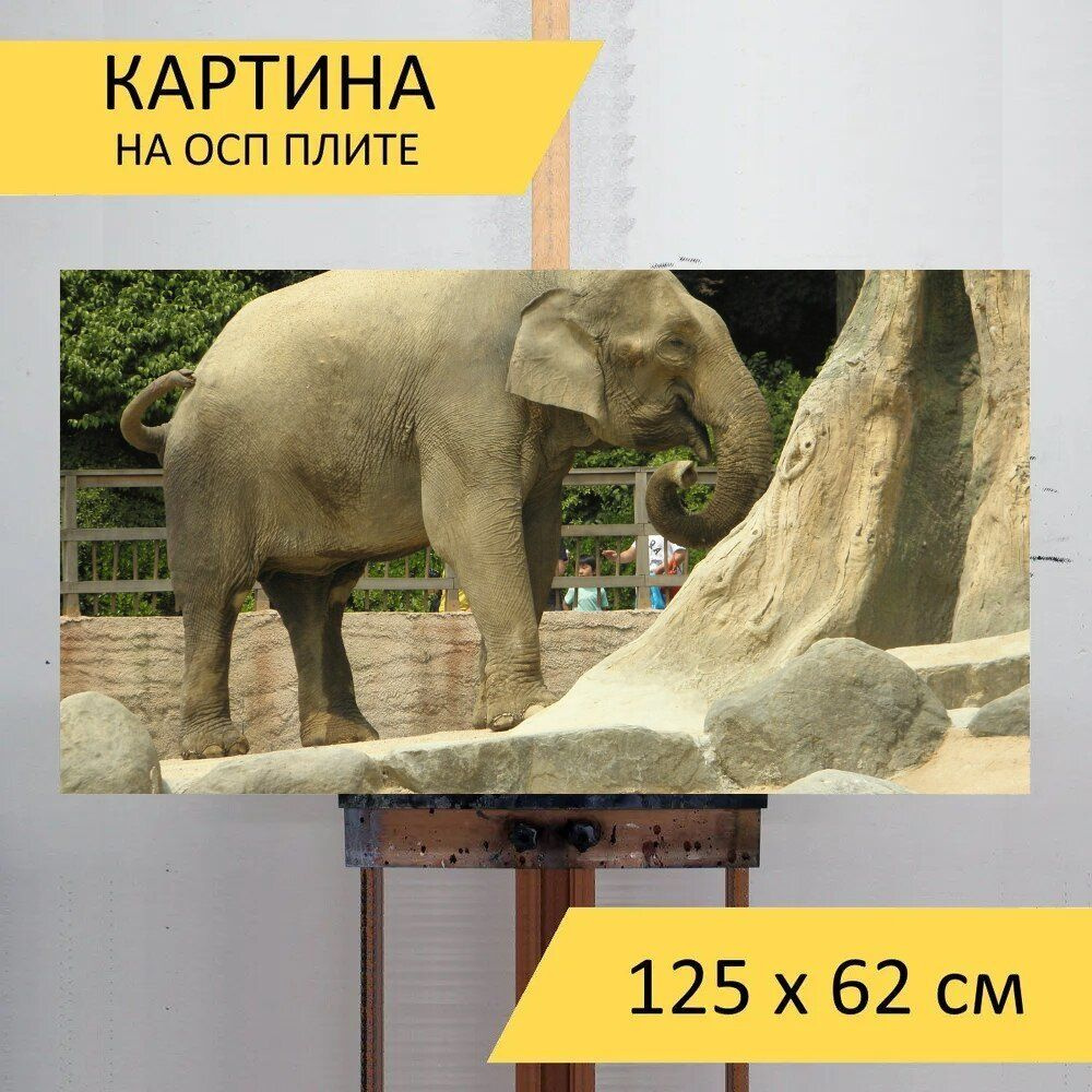 LotsPrints Картина "Слон, зоопарк, животное пастбища 71", 125 х 62 см  #1