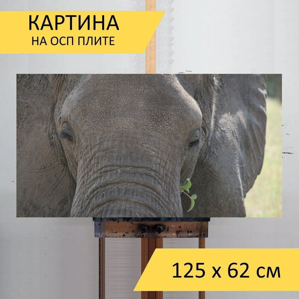 LotsPrints Картина "Слон, смотреть, африка 95", 125  х 62 см #1