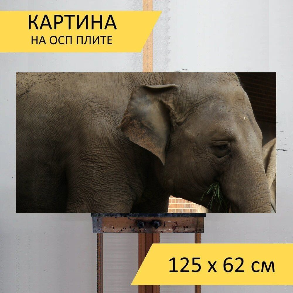 LotsPrints Картина "Слон, животное, руди ствол 78", 125  х 62 см #1