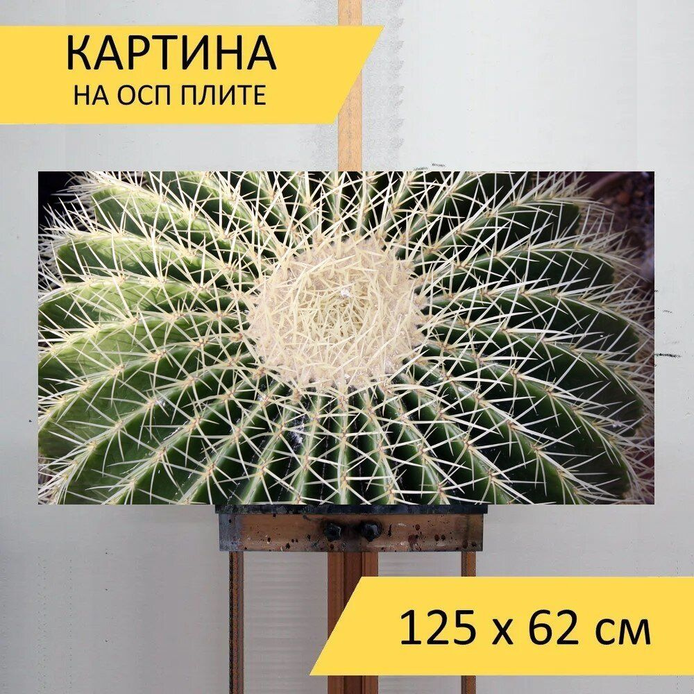 LotsPrints Картина "Кактус, кактусы, ботанический сад 63", 125 х 62 см  #1