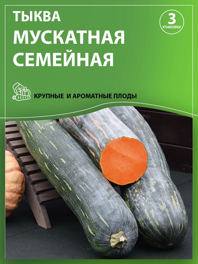 Тыква семейная мускатная схема посадки