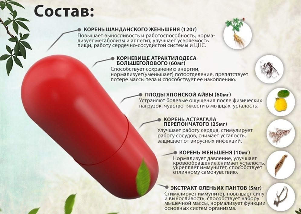 Текстовое описание изображения