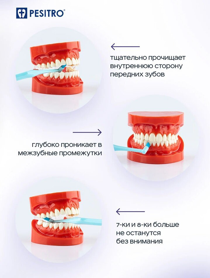 Текстовое описание изображения