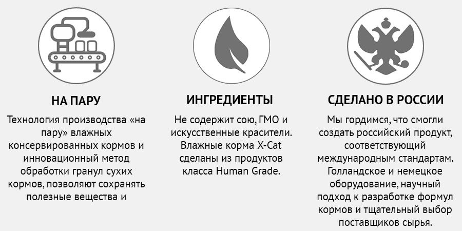 Текстовое описание изображения