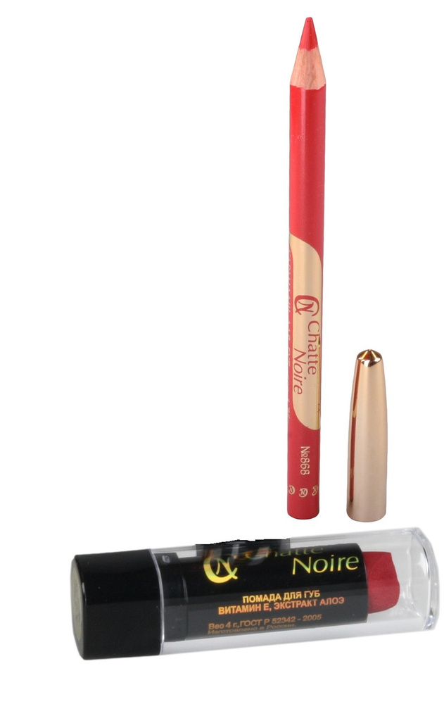 Chatte Noire Помада + Карандаш для губ №42 подарочный набор декоративной косметики для стойкого макияжа #1