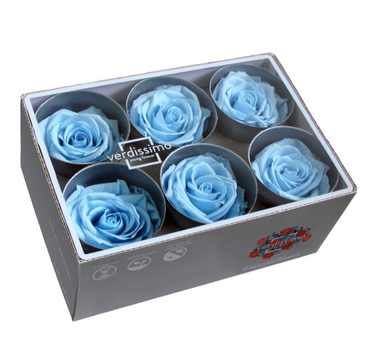 Бутоны розы стабилизированные "Голубые" 6шт /флористический материал/для создания букетов/  #1