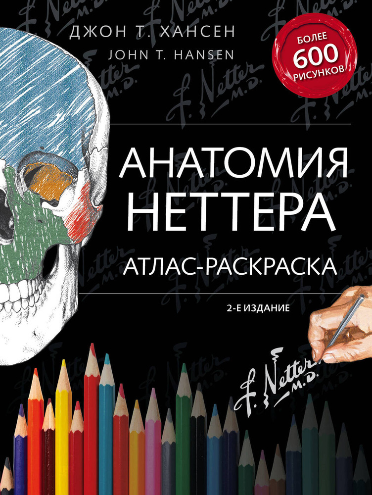 Анатомия Неттера: атлас-раскраска. | Хансен Джон Т. #1